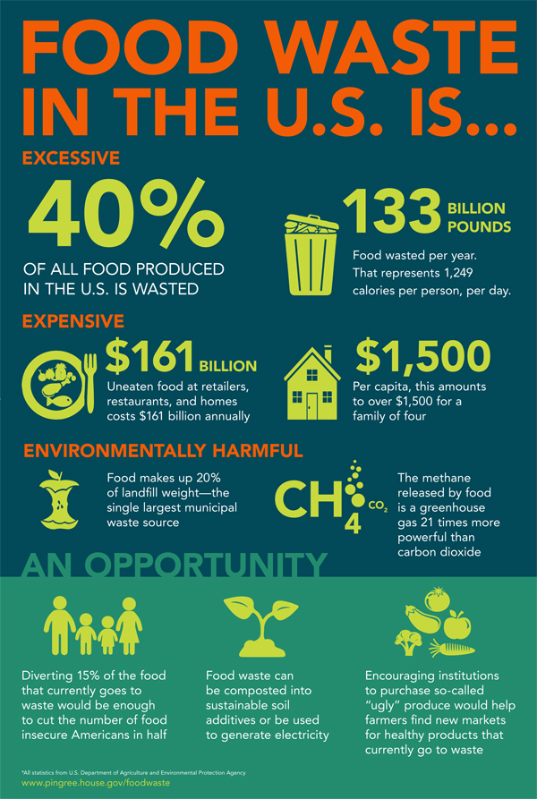 Food Waste Infographic shareable